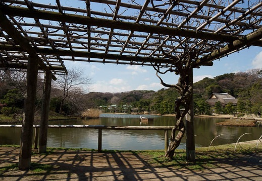 201203141055-DSC06907.jpg