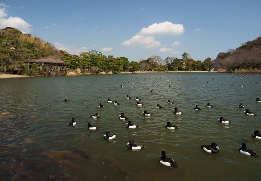 201203141114-DSC06955.jpg