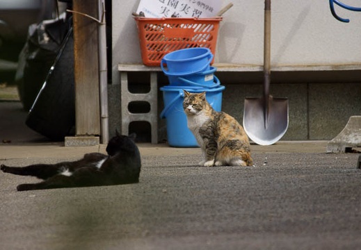 201203141132-DSC06981.jpg