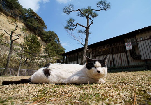 201203141223-DSC04723N.jpg