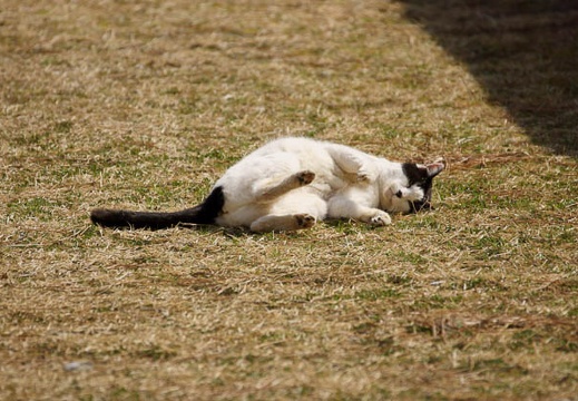 201203141226-DSC07078.jpg