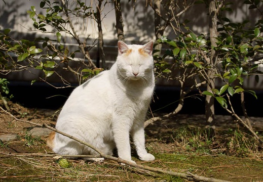 201203141249-DSC07101.jpg