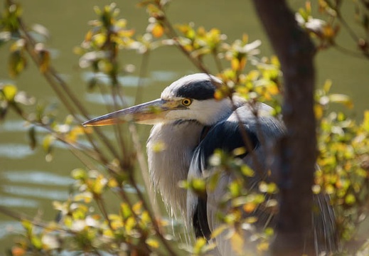 201203141353-DSC07157.jpg