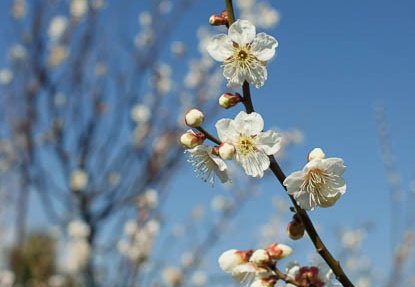 201203141406-DSC07184.jpg