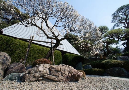 201203151250-DSC04786N.jpg