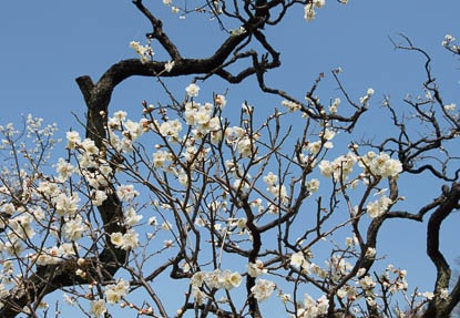 201203151300-DSC07320.jpg