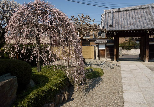 201203151304-DSC07336.jpg