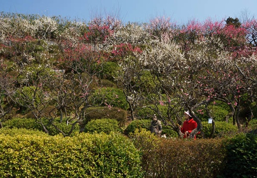 201203151316-DSC07351.jpg