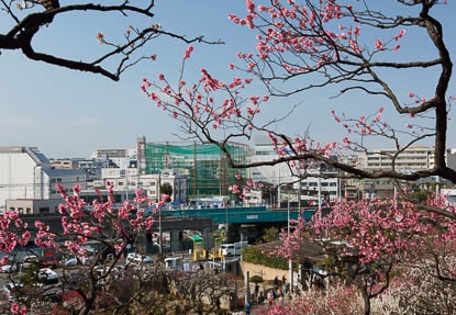 201203151341-DSC07394.jpg