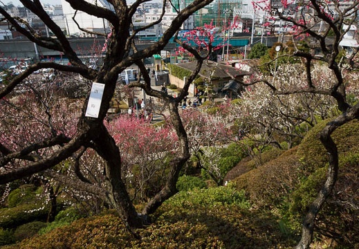 201203151345-DSC07408.jpg