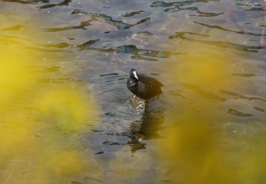 201203160923-DSC07660.jpg