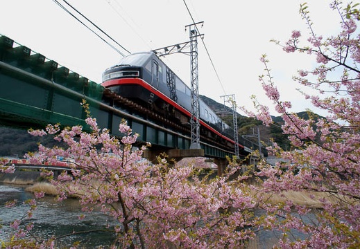 201203160946-DSC04878N.jpg