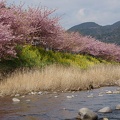 201203161057-DSC07839.jpg