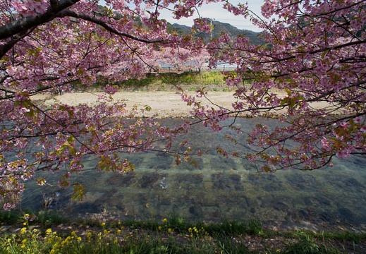 201203161156-DSC04908N.jpg