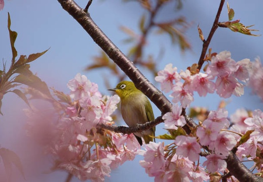 201203161321-DSC08167.jpg