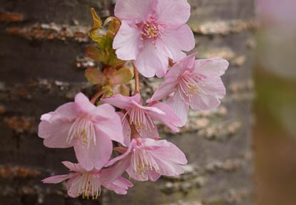 201203161329-DSC08172.jpg
