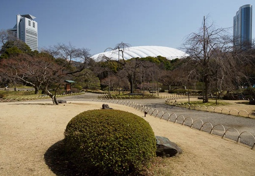 201203191059-DSC08446.jpg