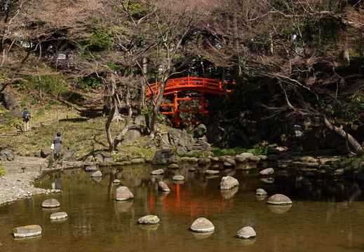 201203191102-DSC08453.jpg