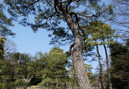 201203191219-DSC04988N.jpg