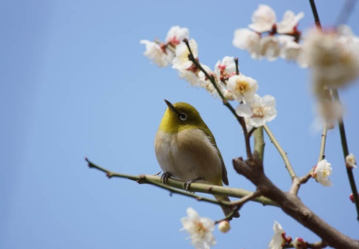 201203191235-DSC08719.jpg