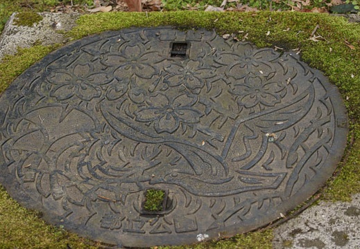 201203191351-DSC08926.jpg