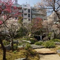 201203201014-DSC08974.jpg