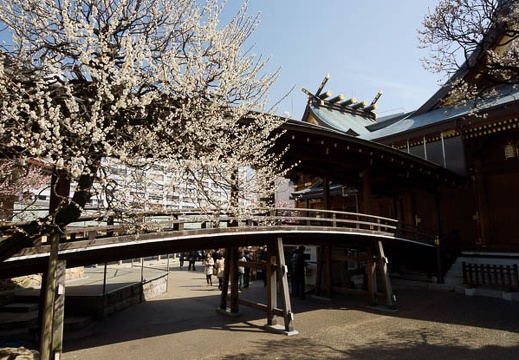201203201021-DSC08994.jpg