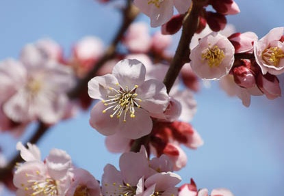 201203201121-DSC09163.jpg