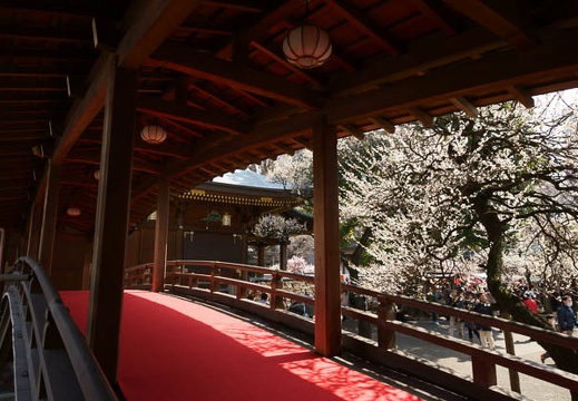 201203201222-DSC09469.jpg
