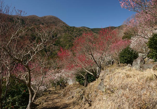 201203210930-DSC09933.jpg