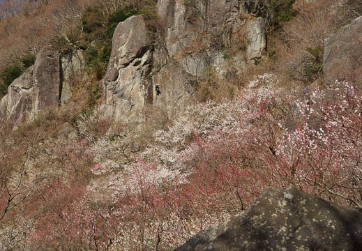 201203210936-DSC09938.jpg
