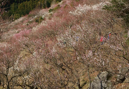 201203210942-DSC09951.jpg