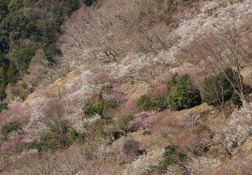 201203210949-DSC09970.jpg
