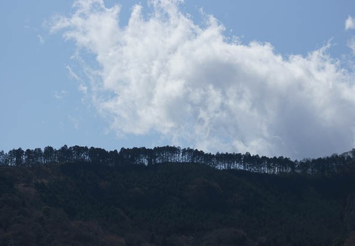 201203211052-DSC00061.jpg