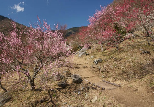 201203211138-DSC00138.jpg