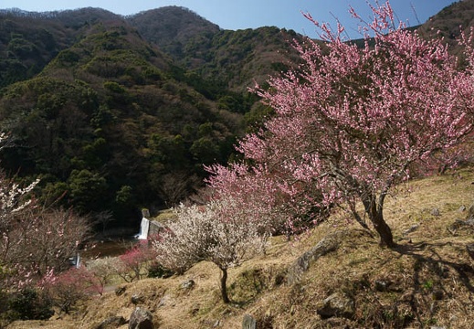 201203211142-DSC00147.jpg