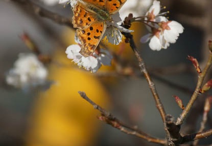 201203250908-DSC00785.jpg