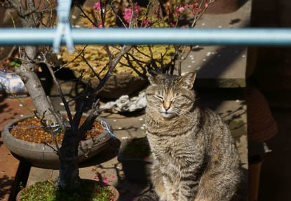 201203250919-DSC00803.jpg
