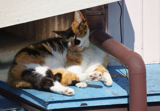 201203250919-DSC00804.jpg