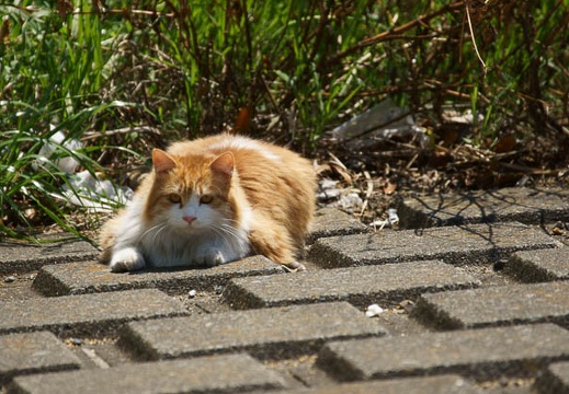 201203250948-DSC00841.jpg