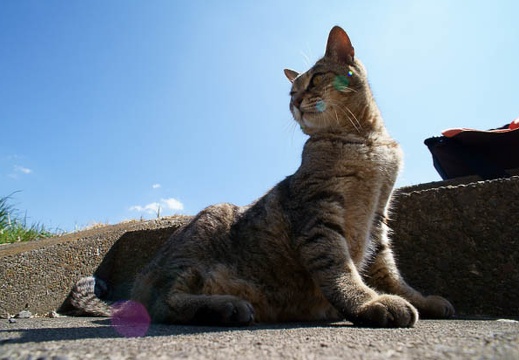 201203251051-DSC05257N.jpg