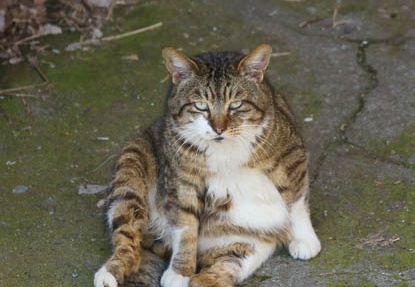 201203251107-DSC00931.jpg