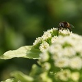 201203251145-DSC01005.jpg