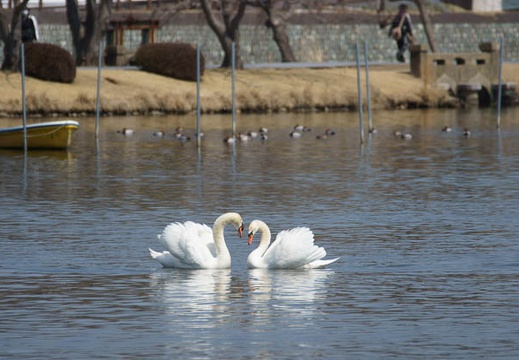 201203271215-DSC01371.jpg