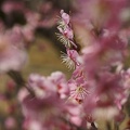 201203271343-DSC01490.jpg