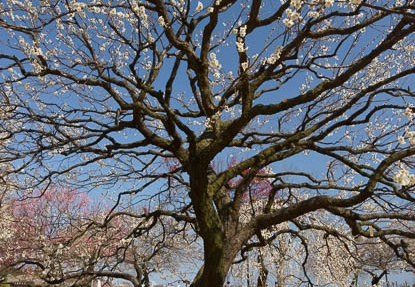 201203271354-DSC01512.jpg