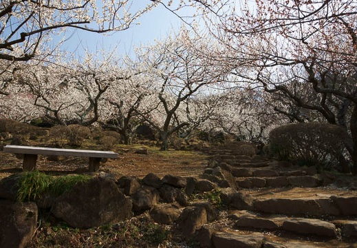 201204020831-DSC02989.jpg