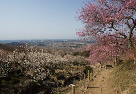 201204020840-DSC03010.jpg