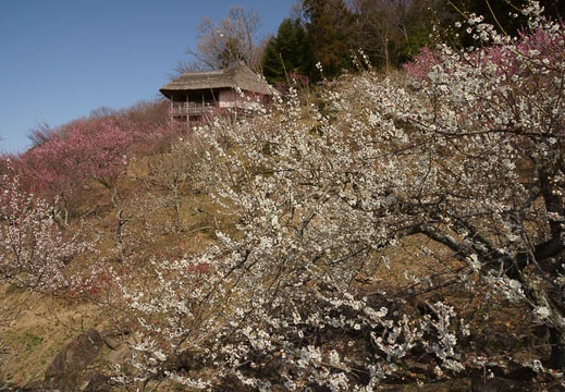 201204020845-DSC03023.jpg