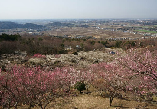 201204020849-DSC03031.jpg